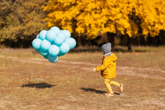 Ein kleiner Junge mit einem Arm voller Luftballons geht im Herbstpark Gelbe Bäume und blaue Bälle Stilvolles Kind