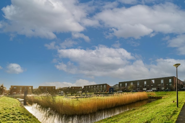 Ein kleiner, mit Pflanzen bewachsener Teich mit grünem Rasen am Ufer und Gebäuden im Hintergrund