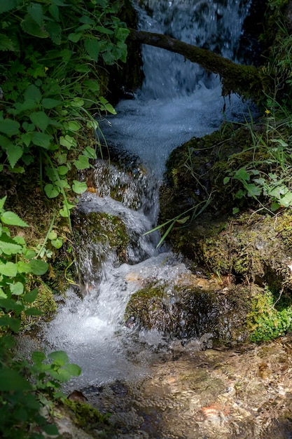 Ein kleiner schneller Bach fließt in den Bergen Zentralgriechenlands in der Nähe