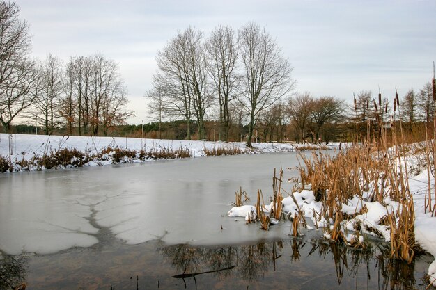 Ein kleiner See im Winter mit Eis und Wasser. Im Eiskanal mit Wasser. Wächst viel hohes Schilf. Hinter dem See wachsen viele Bäume.