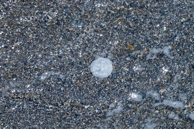 Ein kleiner Stein, abgerundet durch die Erosion von Sand und Wellen