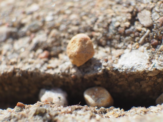 Ein kleiner Stein liegt in einer Ritze im Gehweg.