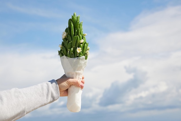 Ein kleiner Strauß grüner Erbsenschoten vor blauem Himmel in der Hand einer Frau