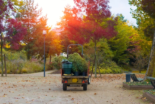 Ein kleiner Traktor trägt Töpfe mit Blumen