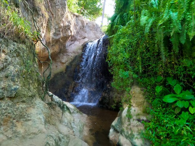 Foto ein kleiner wasserfall am ende des märchenpfads im kulturerbe der stadt mui ne in vietnam