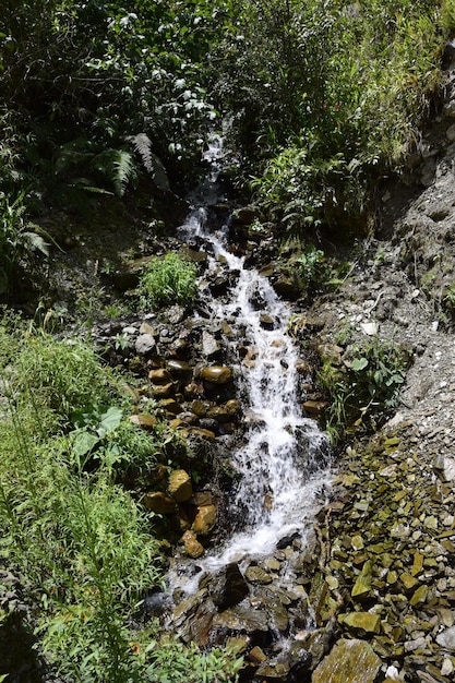 Ein kleiner Wasserfall auf der Todesstraße Camino de la Muerte Yungas North Road zwischen La Paz und Coroico Bolivien