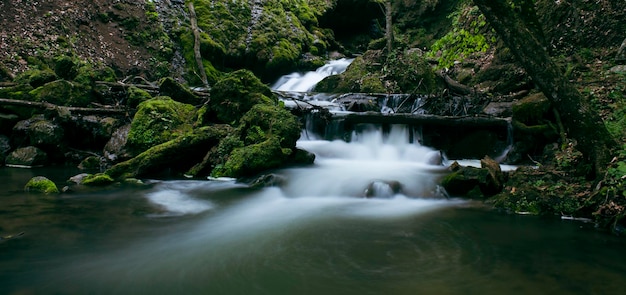 Ein kleiner Wasserfall fließt durch den Wald