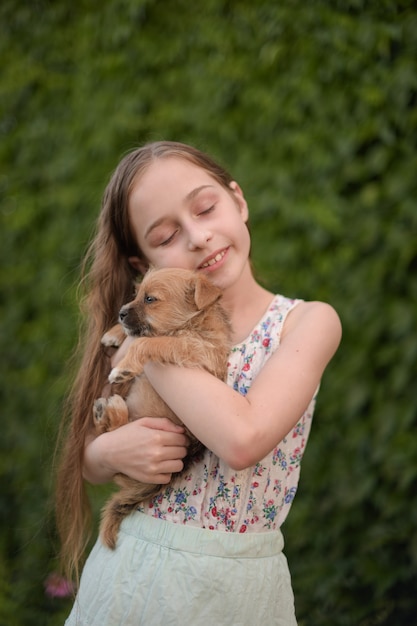 Ein kleines blondes Mädchen mit ihrem Haustierhund im Park. Das Mädchen liebt einen kleinen Welpen.