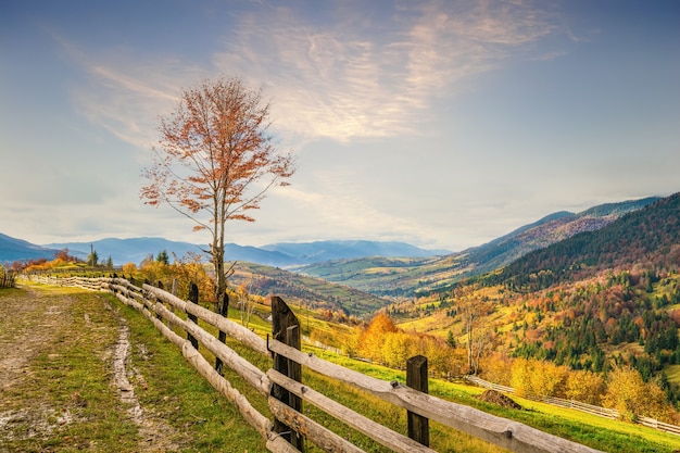 Ein kleines Dorf unter fantastischen Hügeln bedeckt mit herbstlichen bunten Wäldern im Licht einer hellen warmen Sonne bei gutem Wetter