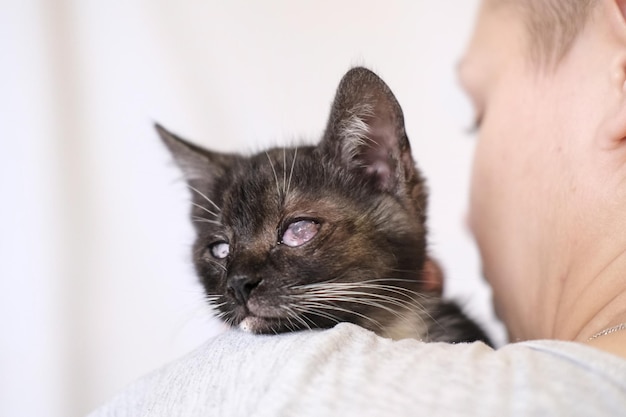 Ein kleines dunkelgraues Kätzchen mit verstümmelten blinden Augen sitzt auf der Schulter des Mädchens und schaut nach links. Ein Freiwilliger rettete ein Kätzchen. ... Stoppt Tierquälerei