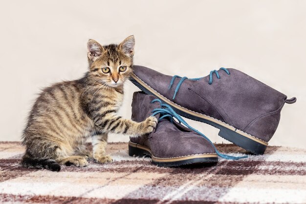 Ein kleines gestreiftes Kätzchen spielt neben den Schuhen