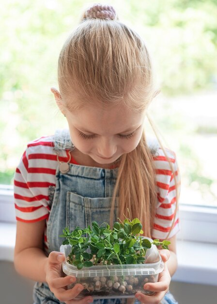 Ein kleines Mädchen am Fenster beobachtet, wie Mikrogrüne Erbsen wachsen