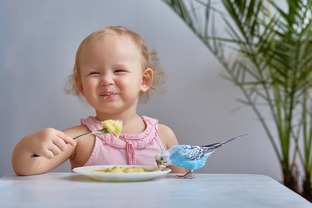 Ein kleines Mädchen mit einem blauen Wellensittichpapagei isst vom selben Teller. Das Konzept der Freundschaft und der Pflege von Haustieren.