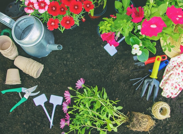 Ein kleines Mädchen pflanzt Blumen Der junge Gärtner Selektiver Fokus