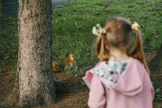 Ein kleines Mädchen schaut sich ein Eichhörnchen im Park an