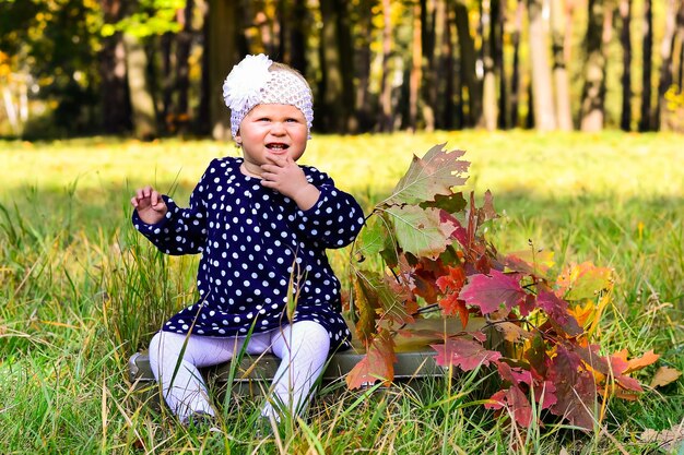 Ein kleines Mädchen sitzt bei Herbstahornblättern vor dem Hintergrund einer Herbstlandschaft in einer Lichtung