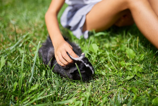 Ein kleines Mädchen spielt mit schwarzem Meerschweinchen, das im Sommer im Freien sitzt Pet Calico Meerschweinchen weidet im Gras des Hinterhofs seines Besitzers