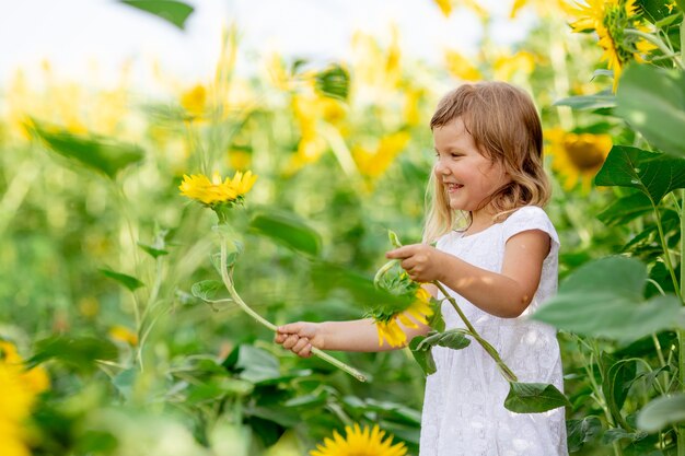 Ein kleines Mädchen spielt mit Sonnenblumenblumen in einem Feld mit Sonnenblumen