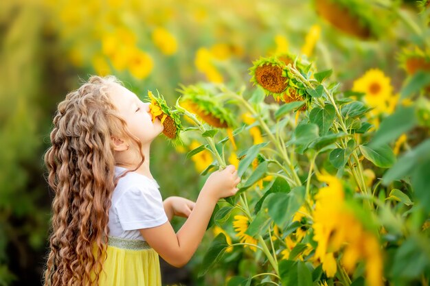 Ein kleines schönes Mädchen hält im Sommer eine Sonnenblume auf einem Feld