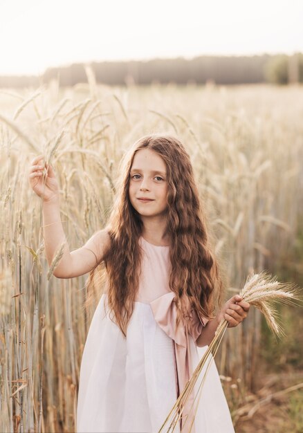 Ein kleines süßes Mädchen mit langen Haaren hält im Sommer Weizenährchen auf dem Feld. Sommer. Erntekonzept