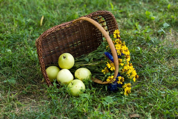 Ein Korb voller Blumen und ein Bündel Äpfel auf dem Gras