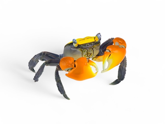 Ein Krabben-Miniaturspielzeug mit orangefarbener Klaue, isoliert auf Weiß