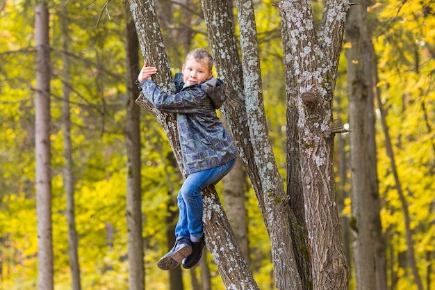 Ein lächelnder Junge kletterte auf einen Baum im Park