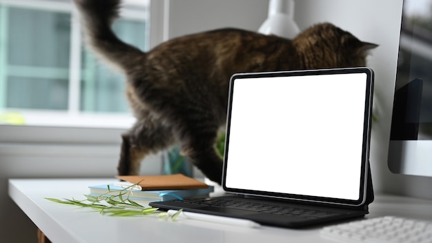 Ein Laptop und eine Katze auf weißem Schreibtisch.