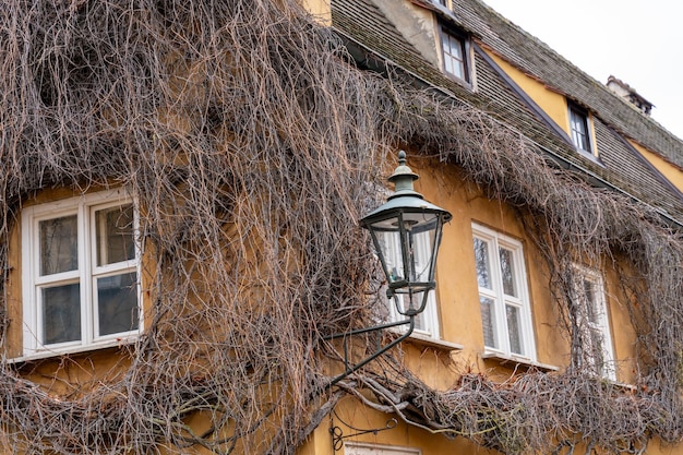 Ein Laternenpfahl lehnt an einem mit Weinreben bedeckten Gebäude.
