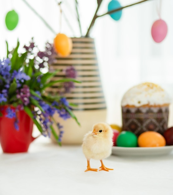 Ein lebendes Huhn in der Nähe der Osterkuchen auf dem Hintergrund bemalter Eier und Osterdekor