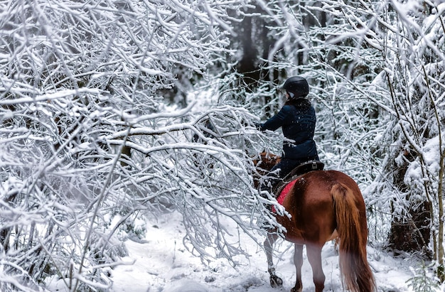 Ein Mädchen auf einem Pferd schlendert durch den Winterwald