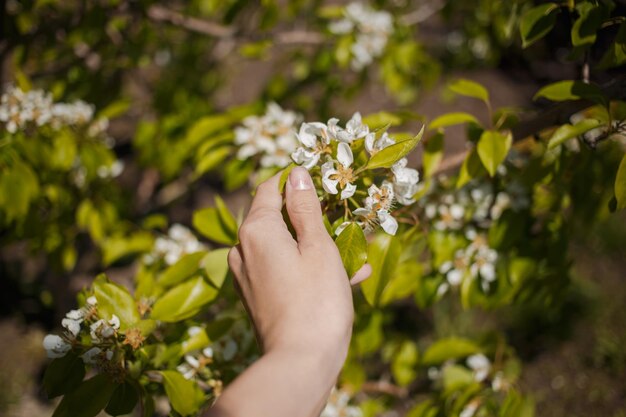 Ein Mädchen, das Blumen mit ihren Händen berührt