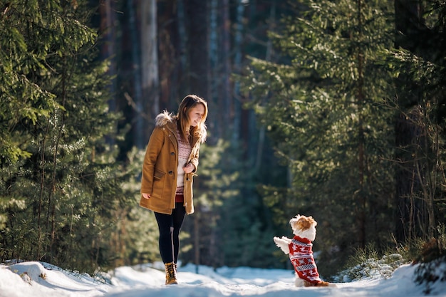 Ein Mädchen in einem Mantel und ein Jack Russell Terrier züchten Hund in einem Strickpullover des neuen Jahres in einem Winterfichtenwald auf dem Schnee Weihnachtskonzept