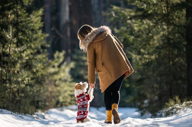 Ein Mädchen in einem Mantel und ein Jack Russell Terrier züchten Hund in einem Strickpullover des neuen Jahres in einem Winterfichtenwald auf dem Schnee Weihnachtskonzept