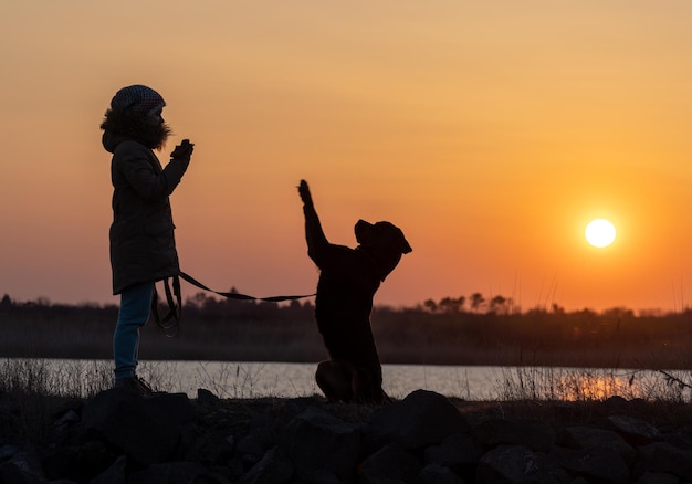 Ein Mädchen in einer Jacke trainiert einen Wachhund der Rasse Rottweiler vor dem Hintergrund eines Sees und Sonnenuntergangs