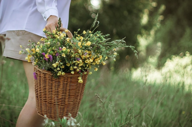 Ein Mädchen in einer weißen Bluse hält einen Weidenkorb mit einem Strauß wilder Blumen Sommerspaziergang im Feld Nahaufnahme der Beine einer Frau zu Fuß durch ein Feld mit einem Blumenkorb