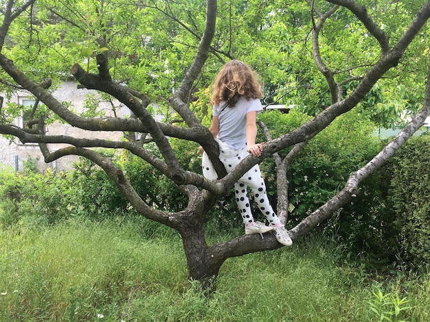 Ein Mädchen in voller Länge sitzt auf einem Baum
