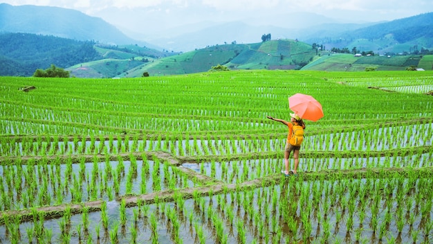 Ein Mädchen mit einem Rucksack zu Fuß auf einem Reisfeld, während er einen Regenschirm in der Hand hält. Reisen in der Regenzeit. Reiserucksack