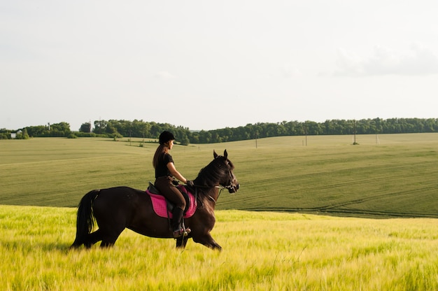 Ein Mädchen und ein junges Sportpferd in der Natur