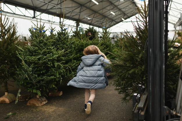 Ein Mädchen wählt einen normannischen Weihnachtsbaum in einem Geschäft