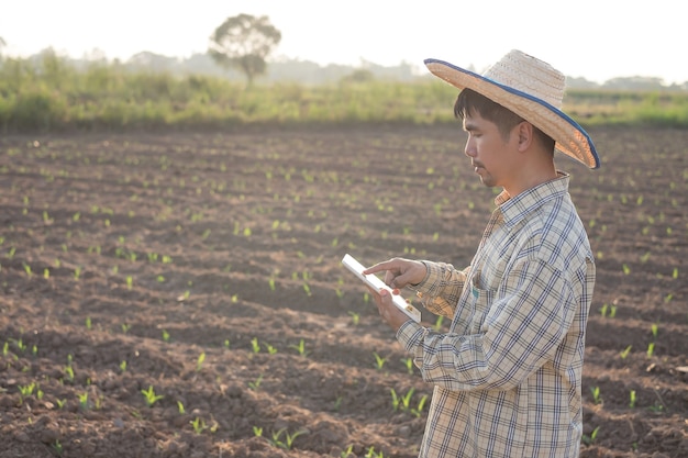 Ein männlicher asiatischer Bauer mit Smartphone-Tablet auf einer Maisfarm mit Sonnenuntergang