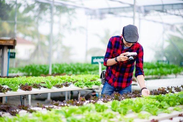 Ein männlicher fotograf fotografiert in seinem salatgarten und genießt das fotografieren.