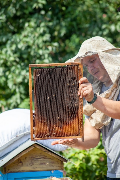 Ein männlicher Imker hält einen alten schwarzen Rahmen mit Waben in seinen Händen und arbeitet an einem Bienenhaus mit Bienen und Honig