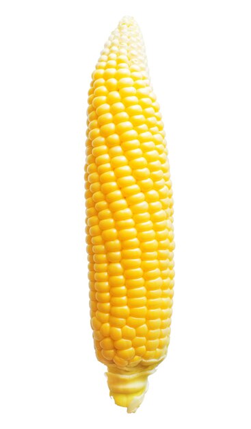 Ein Mais getrennt auf weißem Hintergrund. Draufsicht, flach