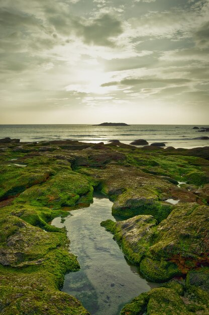 Foto ein malerischer blick auf das ruhige meer vor einem bewölkten himmel