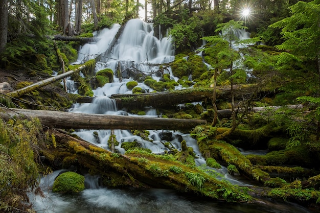 Ein malerischer Blick auf die Clearwater Falls in Oregon (USA)