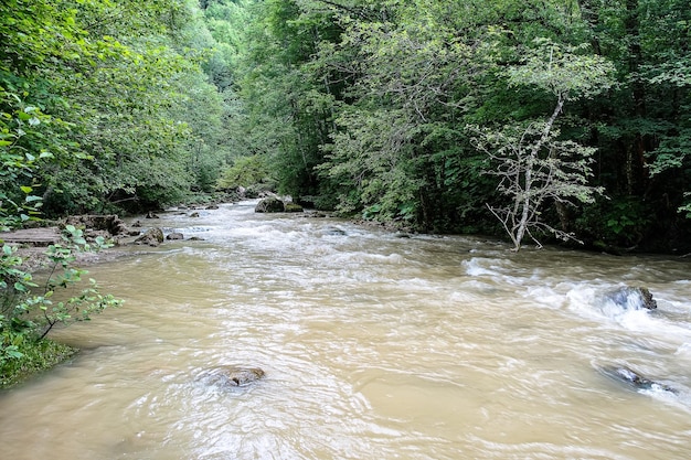 Ein malerischer Fluss im Krasnodar-Territorium in der Nähe von Mezmai 2021