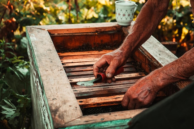 Ein Mann arbeitet in einem Bienenhaus mit Werkzeugen in der Nähe des Bienenstocks mit Honig und Bienen 16