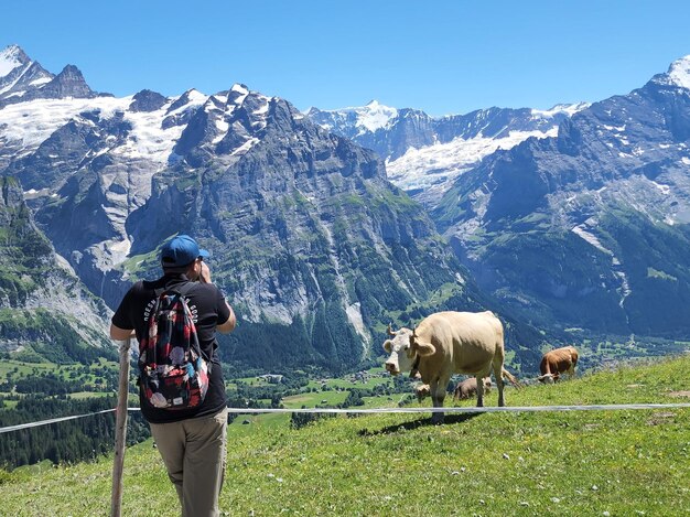 Foto ein mann betrachtet eine kuh mit den schweizer alpen im hintergrund