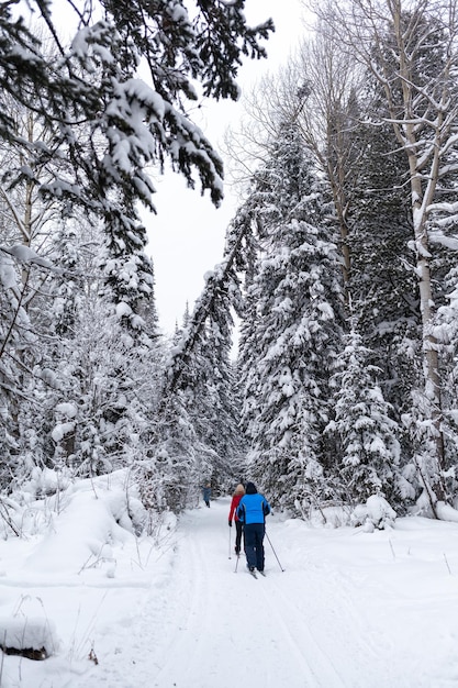 Ein Mann, der im Schnee mit dem Wortpfeifer auf der Rückseite Ski fährt.